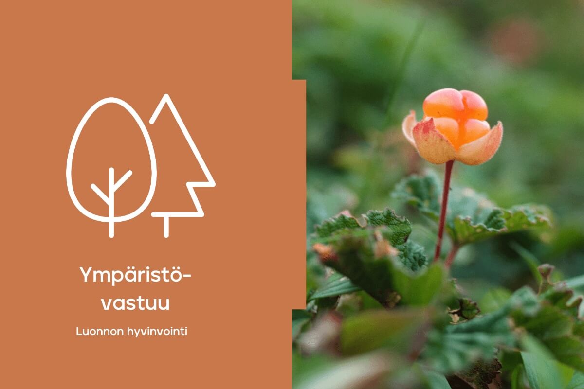 Ympäristövastuu
